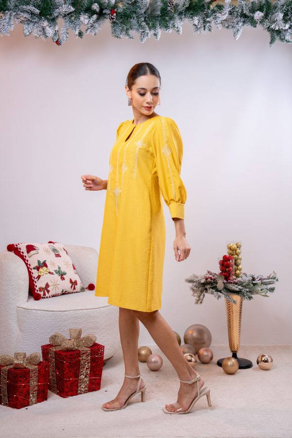 Embroidered Puff Sleeved Short Dress - Image 3