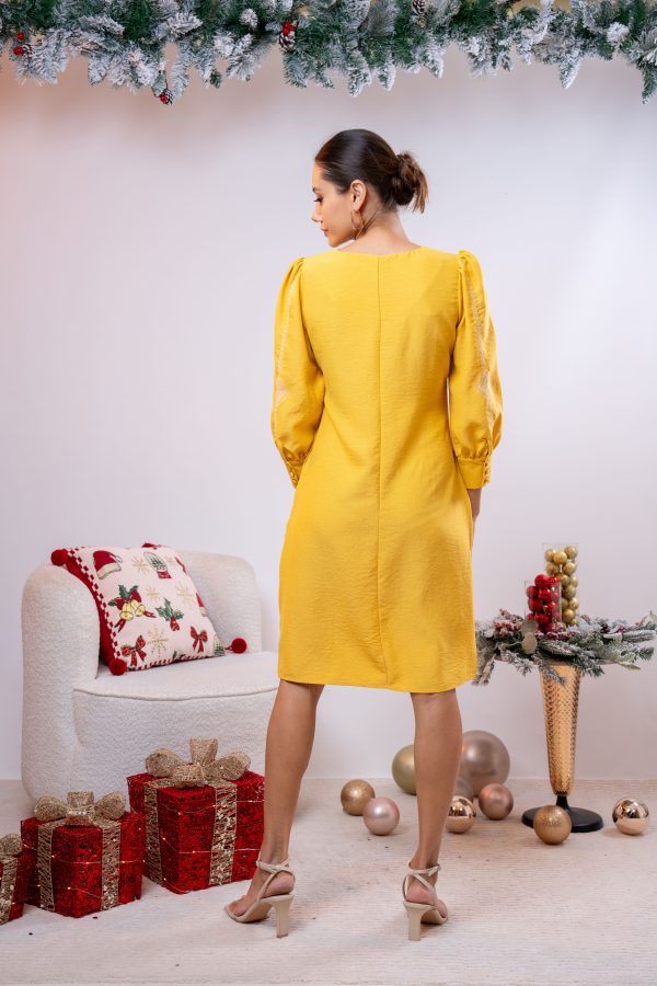 Embroidered Puff Sleeved Short Dress - Image 5