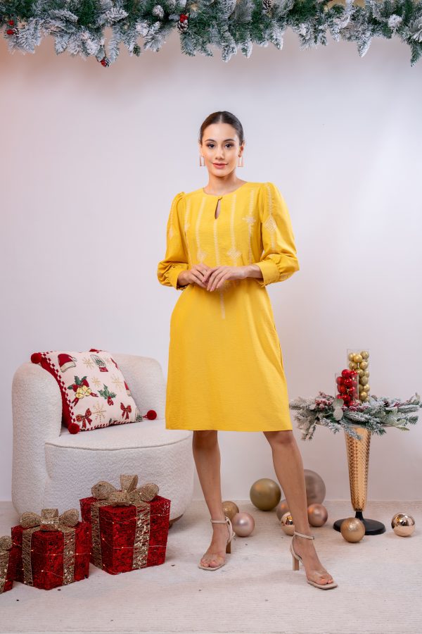 Embroidered Puff Sleeved Short Dress