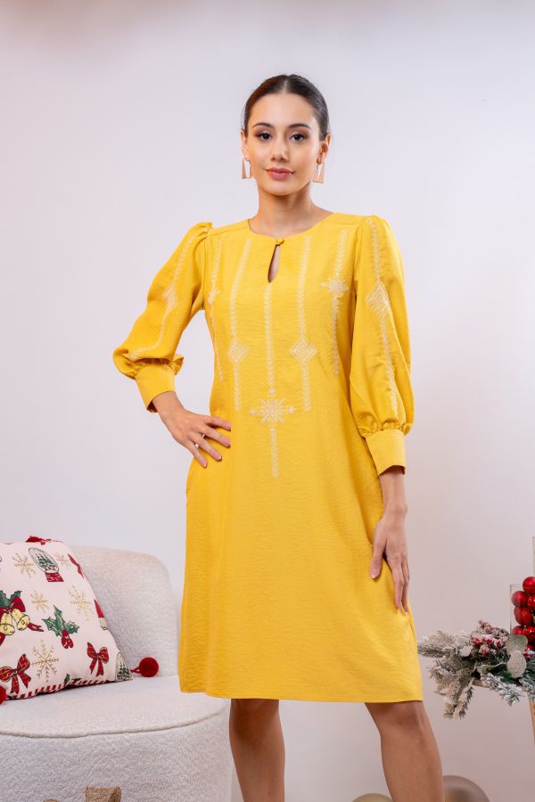 Embroidered Puff Sleeved Short Dress - Image 4